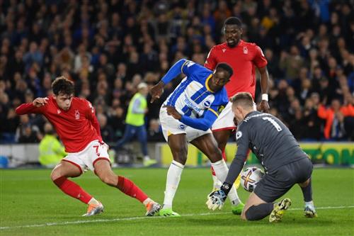 Nottingham vs Brighton