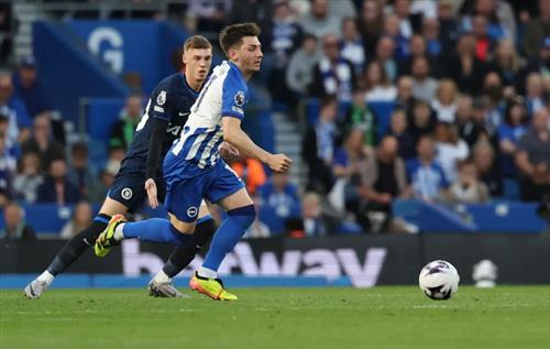 brighton vs chelsea